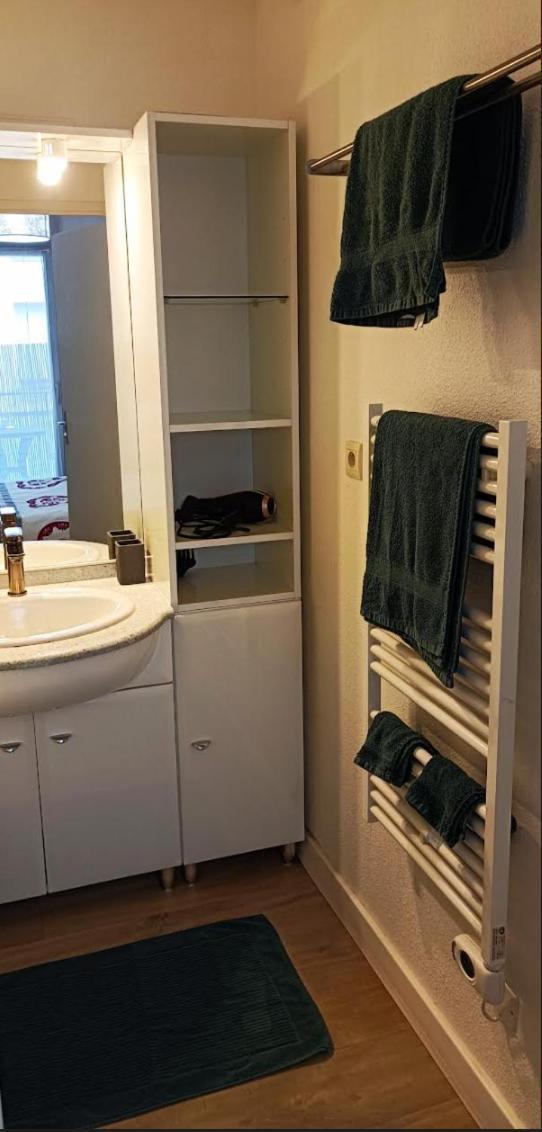 Ravissant Appartement T2 Proche Autoroute Et Centre-Ville ヴィルフランシュ・シュル・ソーヌ エクステリア 写真